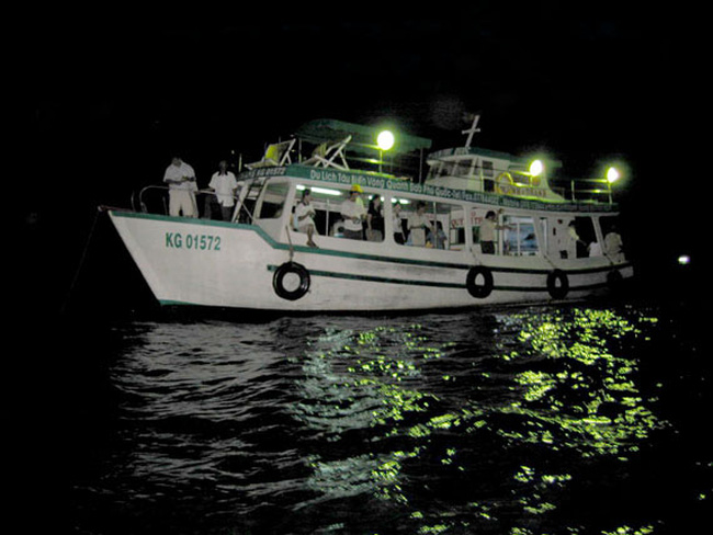 câu mực đêm Phú Quốc 