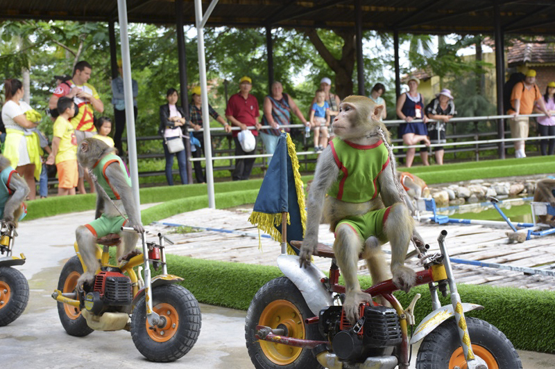 Đảo Khỉ Nha Trang