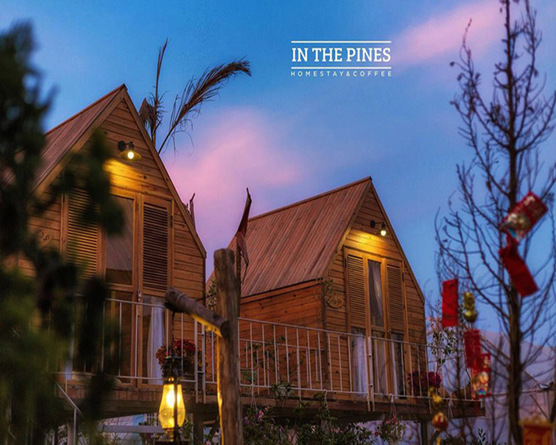 Cẩm nang du lịch Đà Lạt mới nhất năm 2022