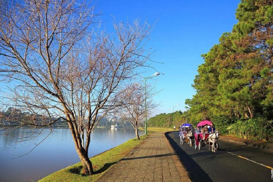 Hồ Xuân Hương Đà Lạt - top thắng cảnh thơ mộng giữa lòng “tiểu Paris”.