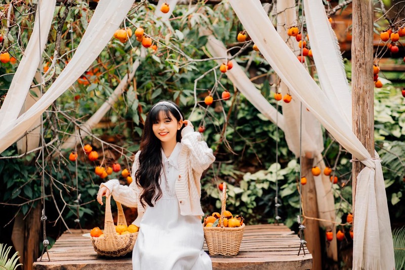 Hồng giòn Đà Lạt - Thức quà độc đáo của xứ lạnh