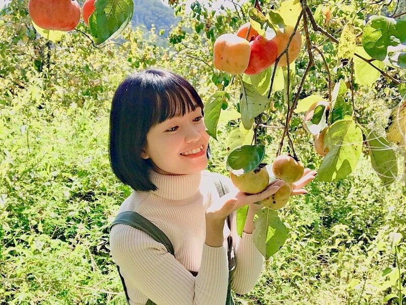 Hồng giòn Đà Lạt - Thức quà độc đáo của xứ lạnh