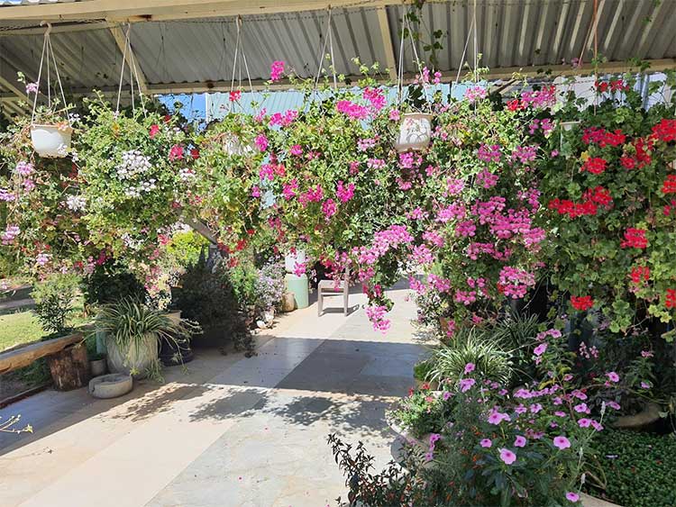 Khu du lịch Lá Phong - Điểm đến mộng mơ giữa lòng Đà lạt