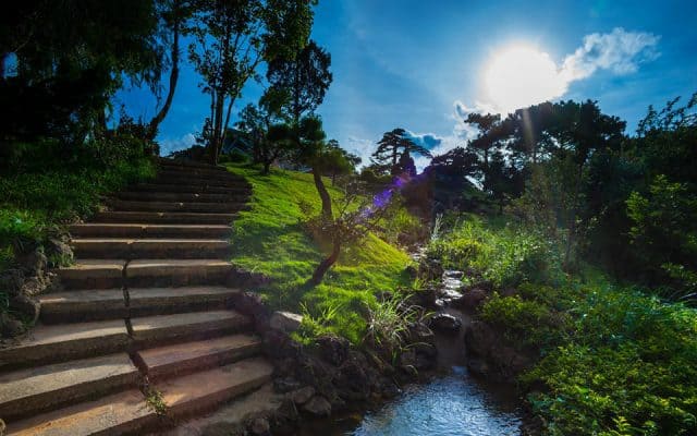 Khu du lịch Lá Phong - Điểm đến mộng mơ giữa lòng Đà lạt