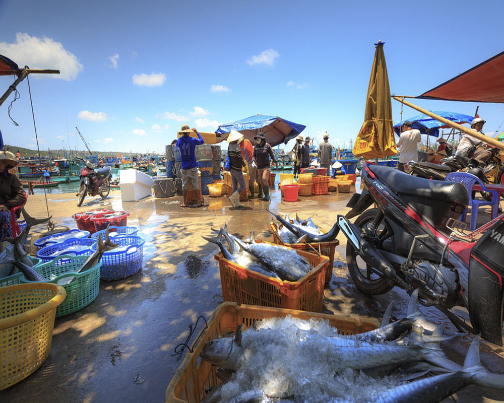 Khám phá làng chài Hàm Ninh - Nét đẹp dân dã giữa lòng Đảo Ngọc