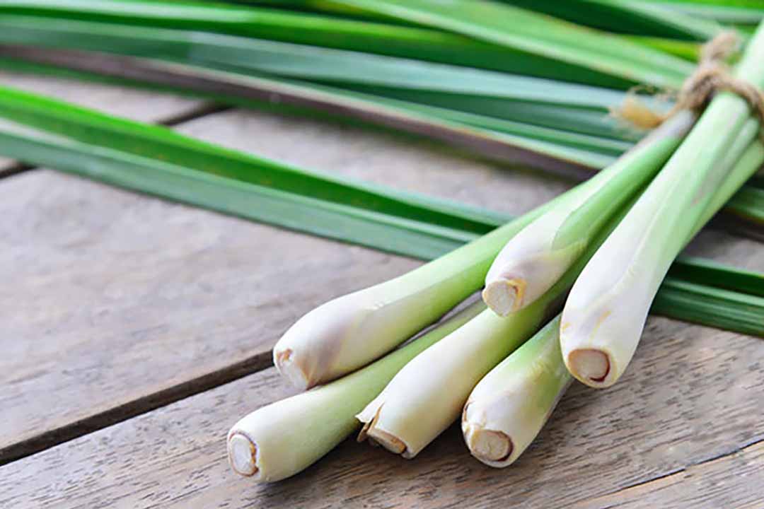 Núi Thần Tài Đà Nẵng - Những điều có thể bạn chưa biết