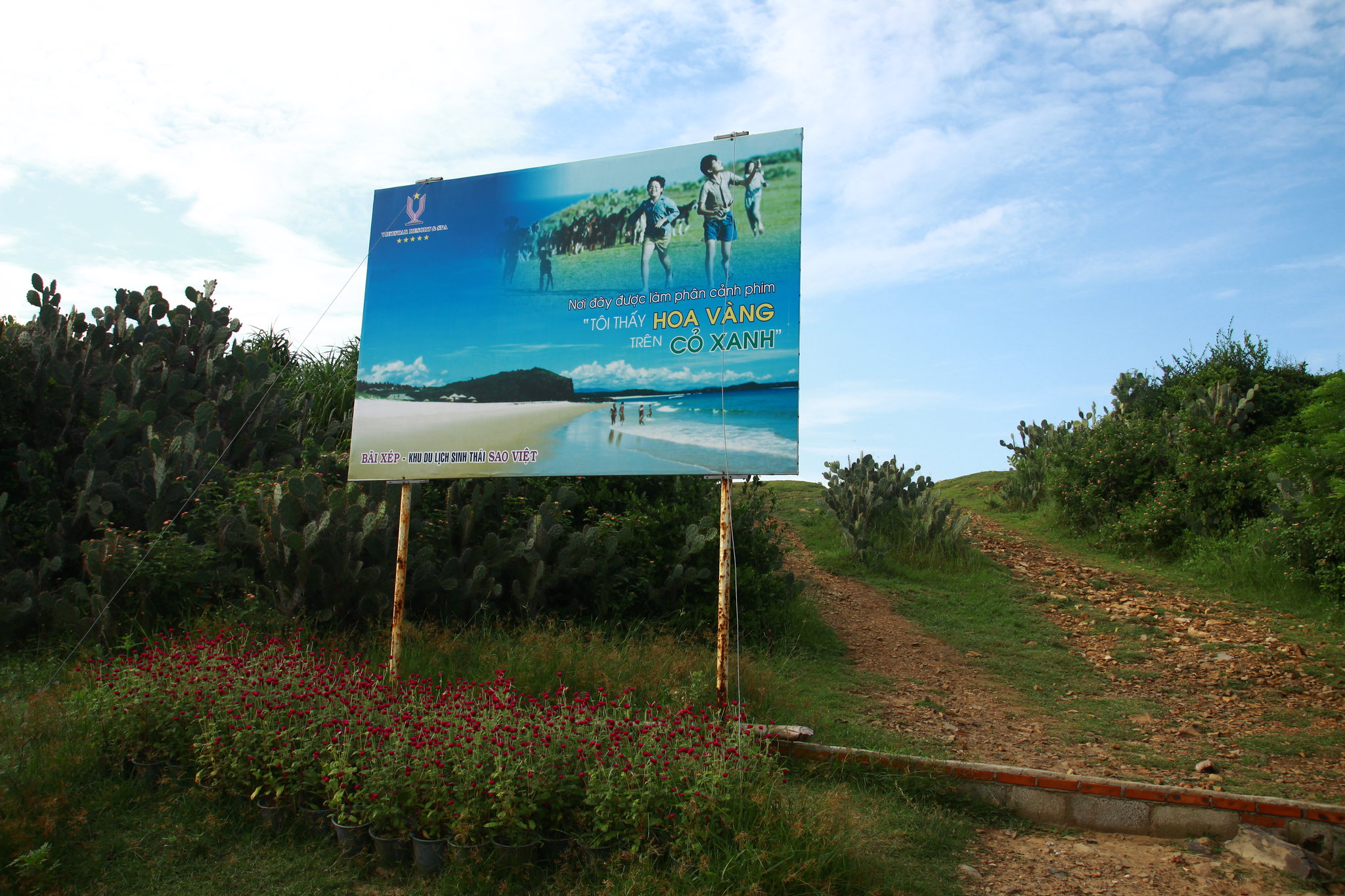 Review Bãi Xép Phú Yên - Nàng tiên cá ngủ quên của phố biển