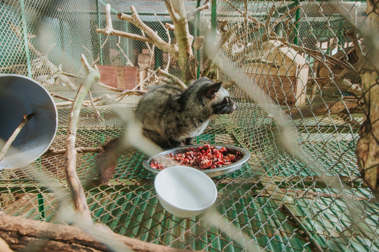 Review Cafe Mê Linh Đà Lạt - Nơi bình yên tìm về