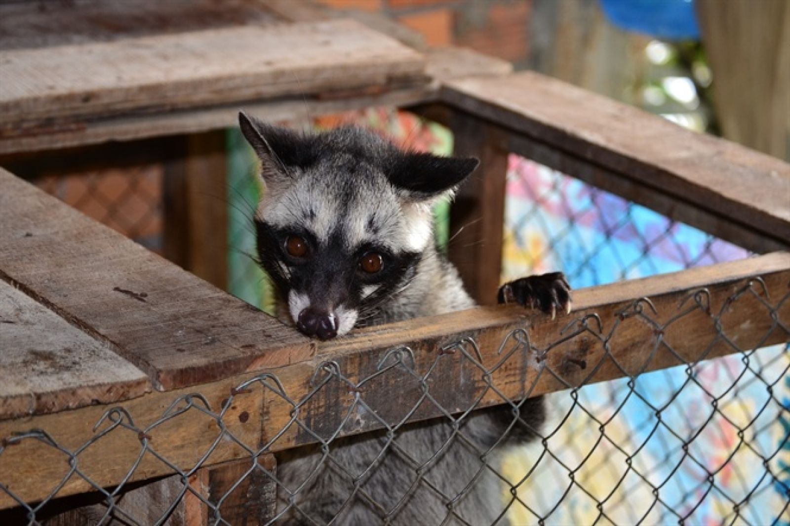 Review Cafe Mê Linh Đà Lạt - Nơi bình yên tìm về