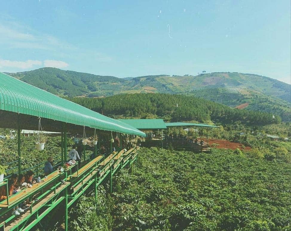 Review Cafe Mê Linh Đà Lạt - Nơi bình yên tìm về