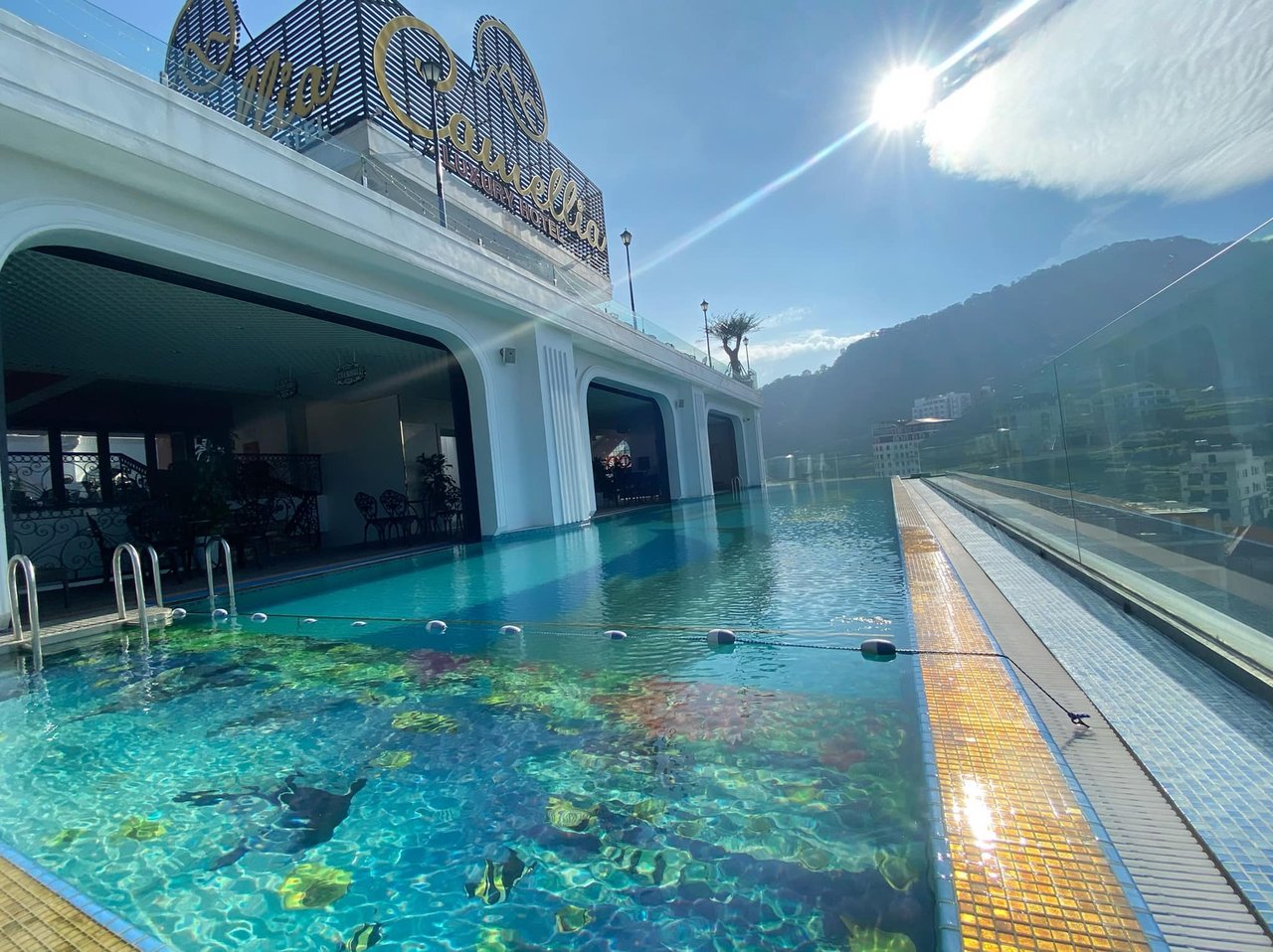 cầu mây tam đảo