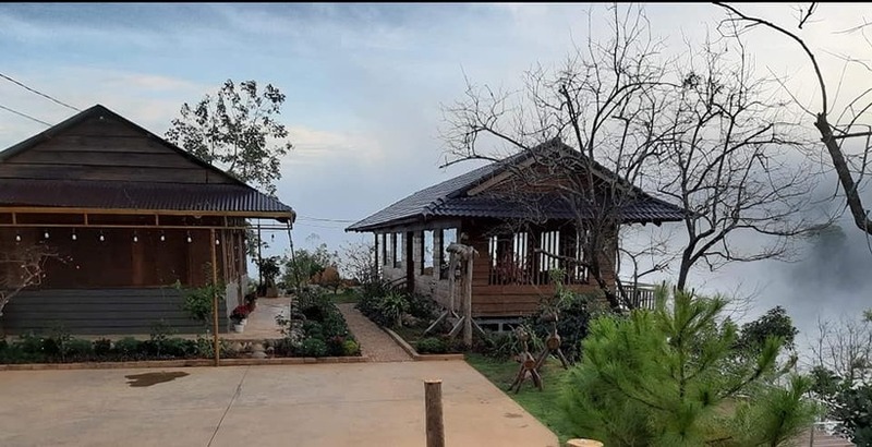 Khám phá vẻ đẹp của Cầu Đất Đà Lạt - Đồi chè hơn 100 tuổi