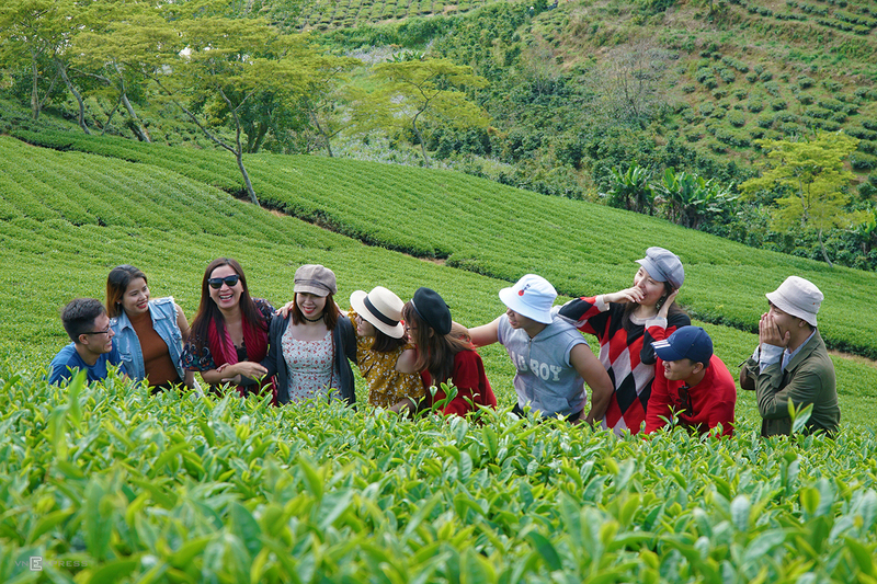 Khám phá vẻ đẹp của Cầu Đất Đà Lạt - Đồi chè hơn 100 tuổi
