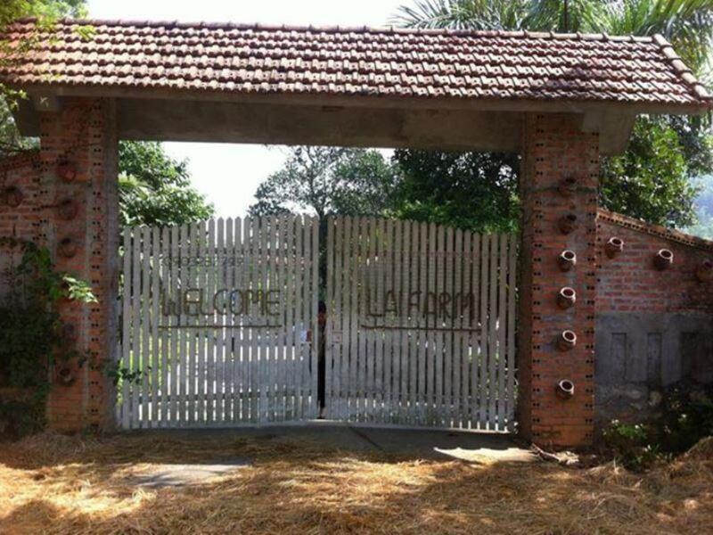 Tất tần tật kinh nghiệm du lịch Ba Vì - Nét yên bình nơi thủ đô