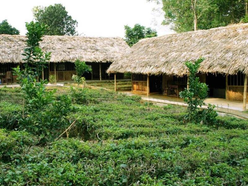 Tất tần tật kinh nghiệm du lịch Ba Vì - Nét yên bình nơi thủ đô