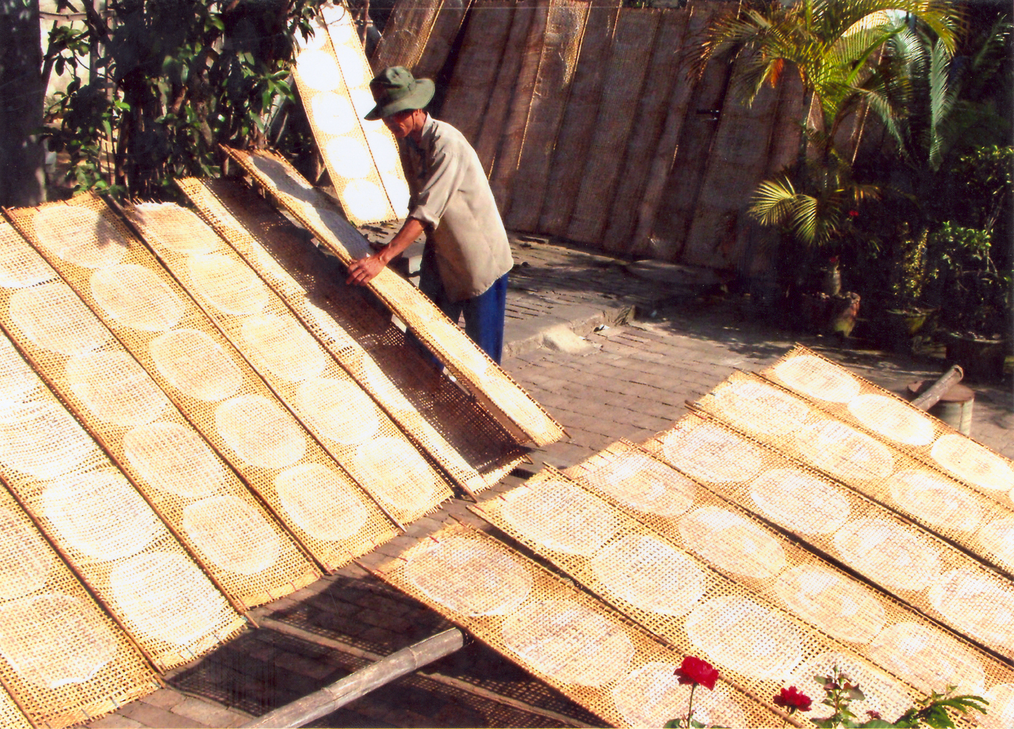 Top 20 đặc sản Phú Yên ngon trứ danh nhất định phải thử