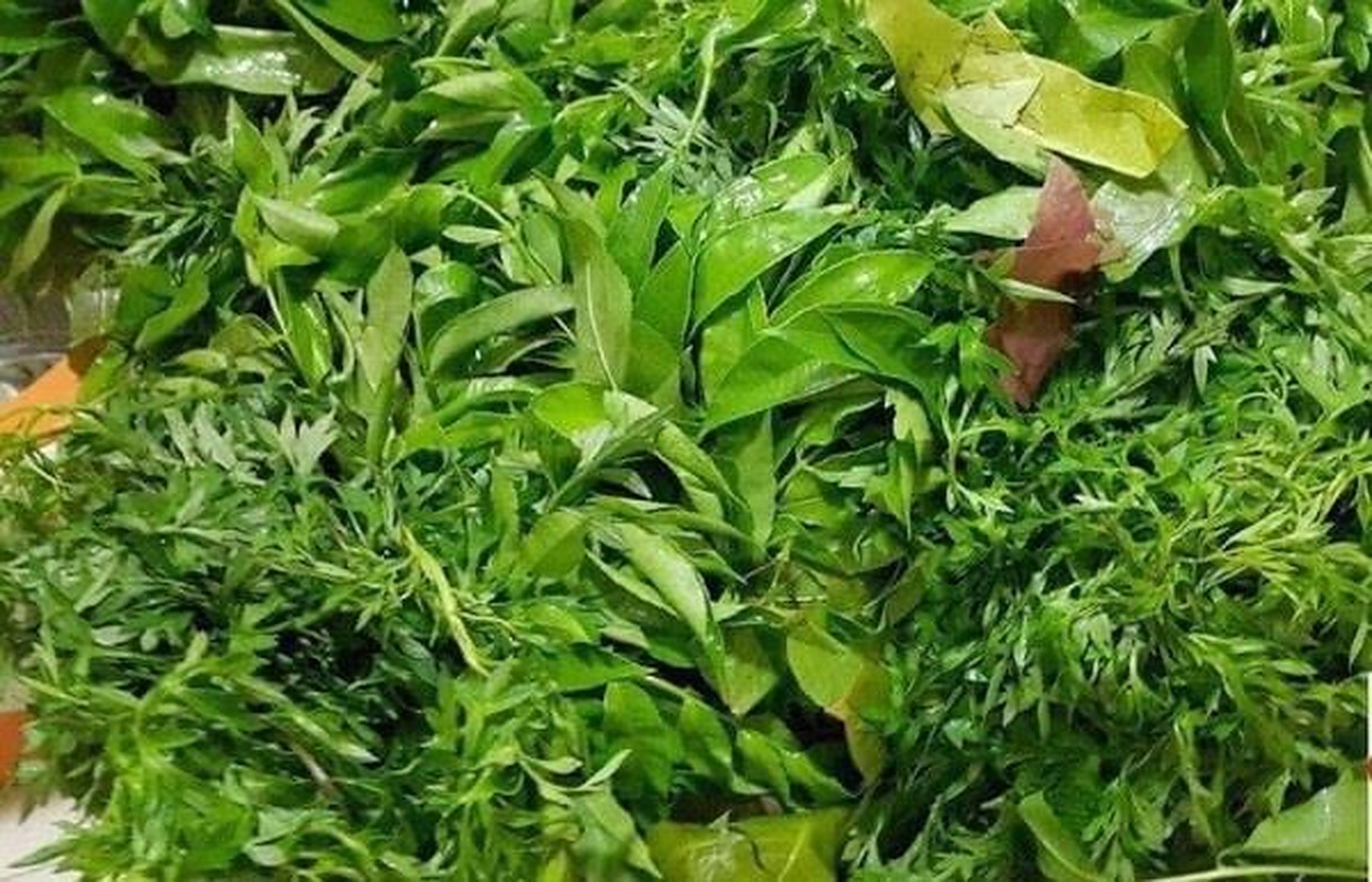 đặc sản Tây Ninh