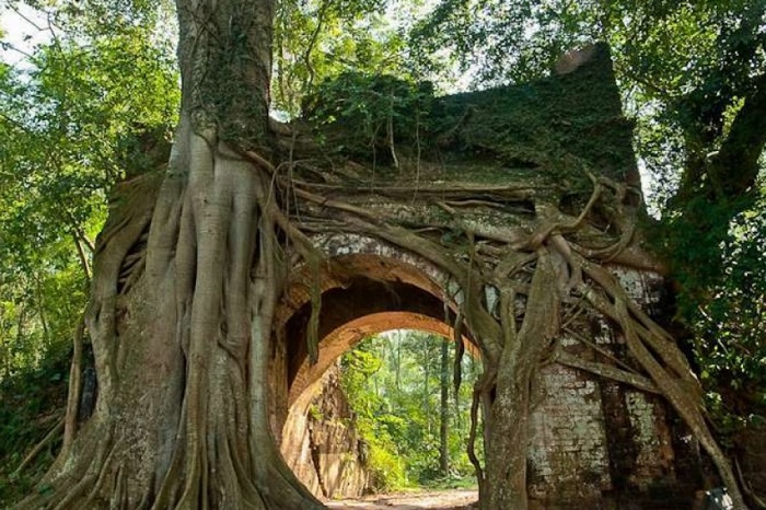 Top 30 những địa điểm du lịch Đà Nẵng siêu hot mà bạn không nên bỏ lỡ