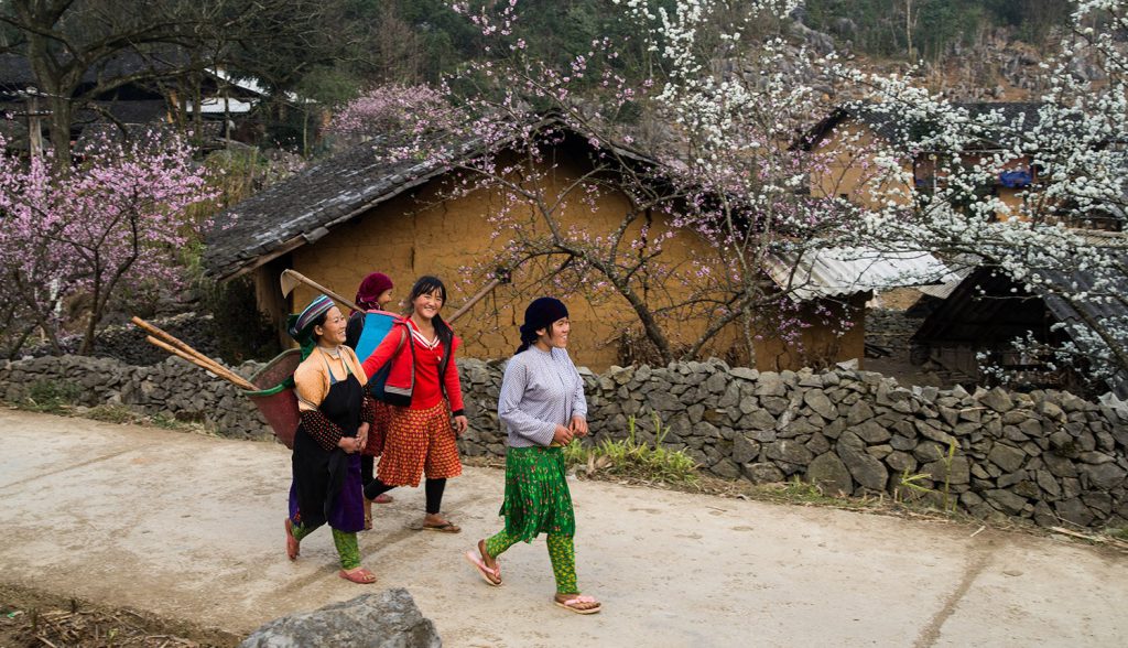 Hà Giang có gì? Top 20 địa điểm du lịch Hà Giang nổi tiếng nhất