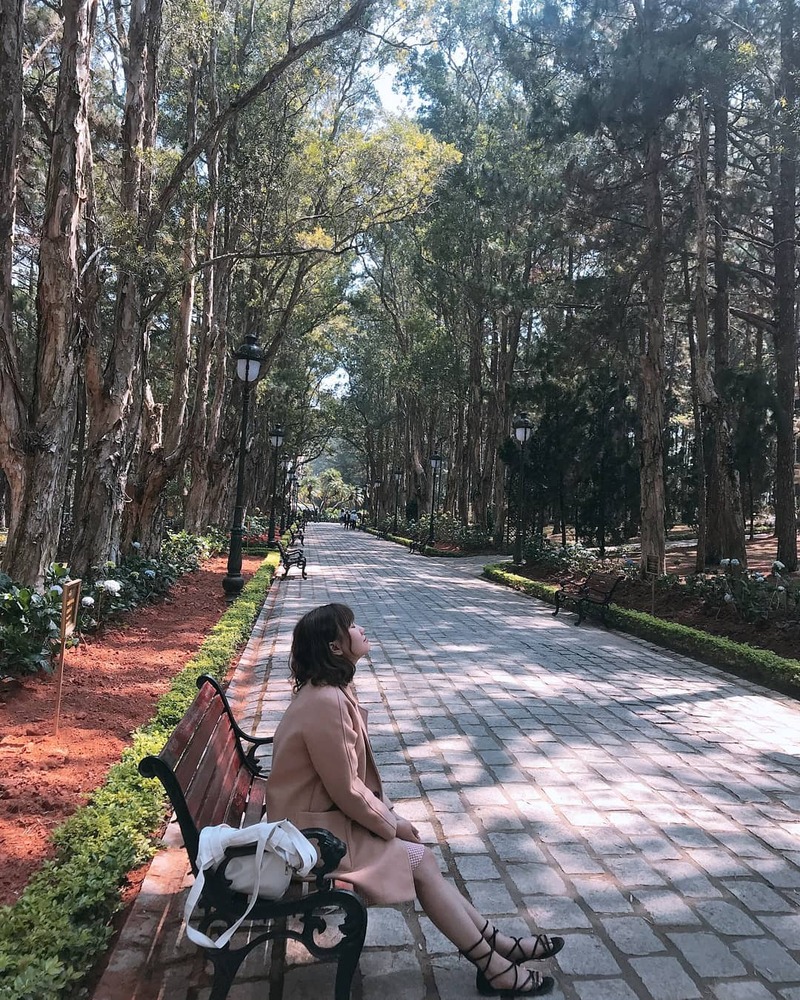 Khám phá Dinh Bảo Đại - Một địa điểm du lịch lịch sử tại Đà Lạt mà bạn nên biết