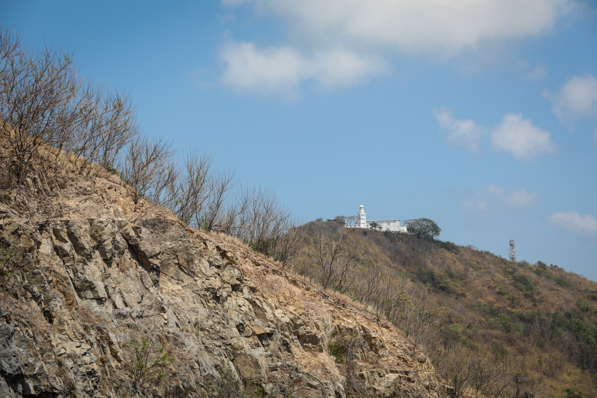 đồi con heo vũng tàu