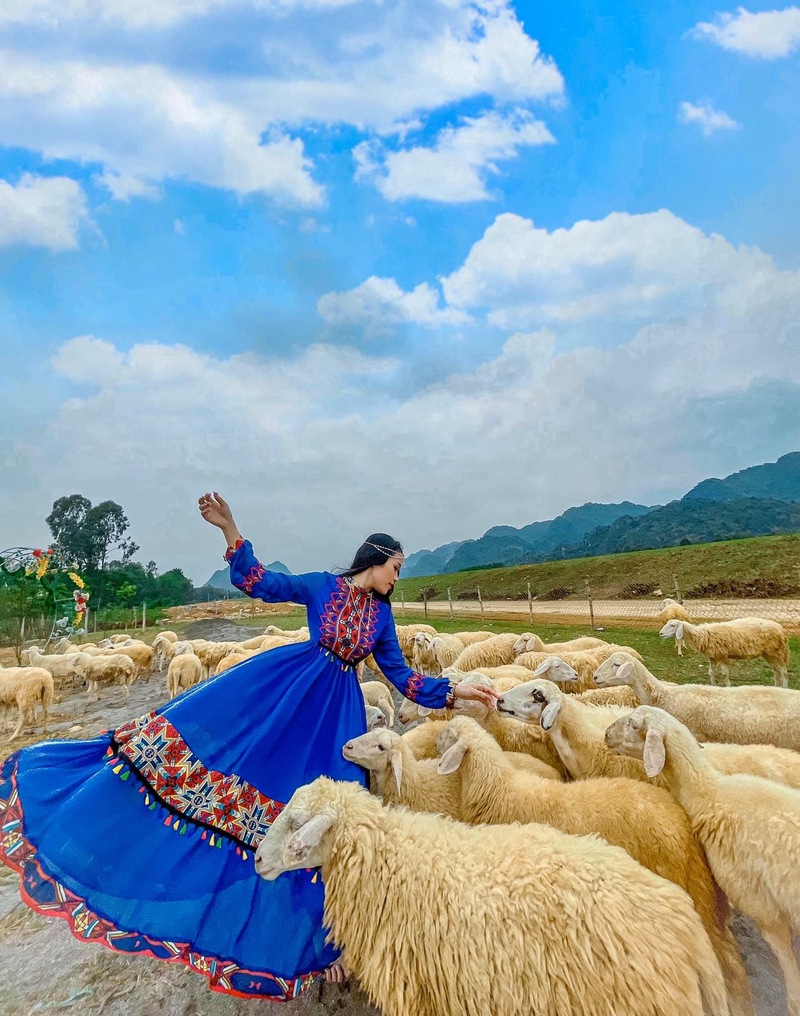 Check-in đồi cừu Ninh Bình - Tọa độ sống ảo siêu xinh