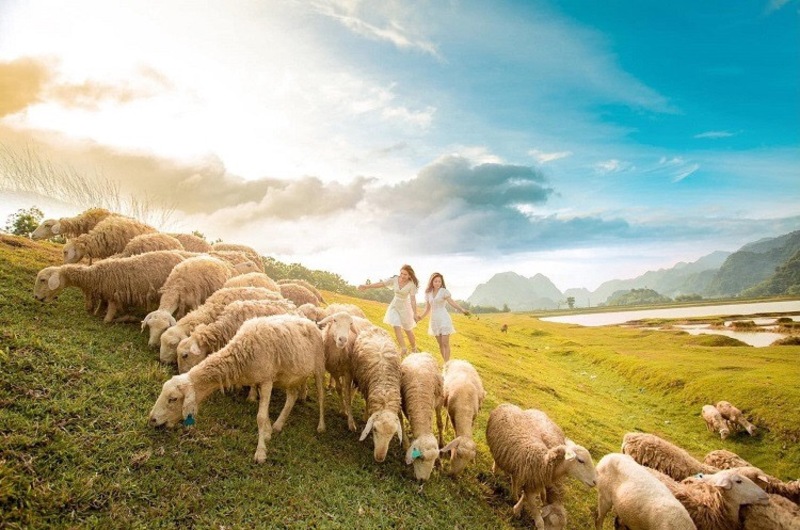 Check-in đồi cừu Ninh Bình - Tọa độ sống ảo siêu xinh
