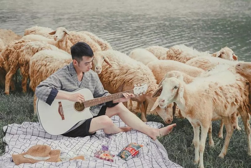 Check-in đồi cừu Ninh Bình - Tọa độ sống ảo siêu xinh