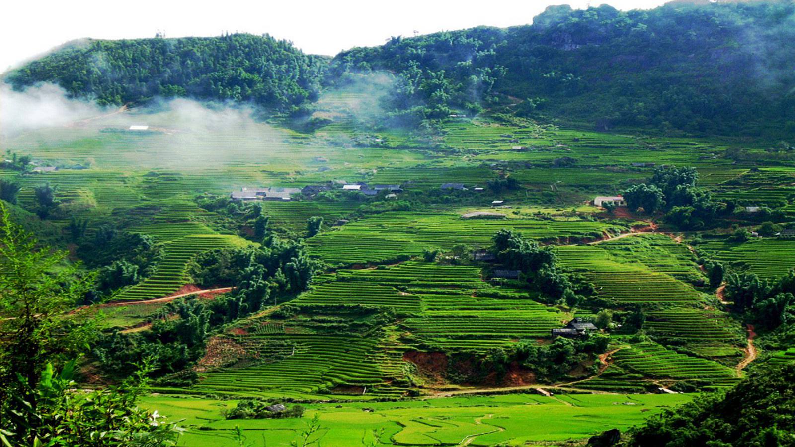 Kinh nghiệm du lịch Mai Châu Hòa Bình chi tiết từ A - Z