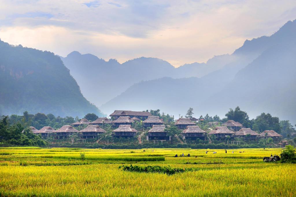 Kinh nghiệm du lịch Mai Châu Hòa Bình chi tiết từ A - Z