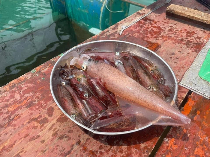 Kinh nghiệm du lịch Hà Tĩnh mới nhất hot nhất 2022