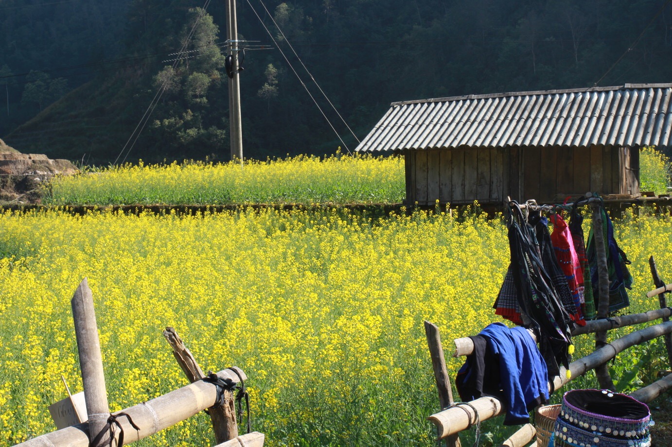 MÙ CANG CHẢI - ĐIỂM ĐẾN “SỐT XÌNH XỊCH” VÙNG TÂY BẮC