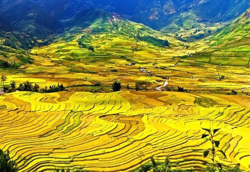 MÙ CANG CHẢI - ĐIỂM ĐẾN “SỐT XÌNH XỊCH” VÙNG TÂY BẮC