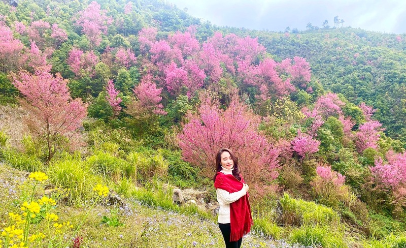 Mù Cang Chải mùa nào đẹp? Chi tiết nhất về điểm đến vùng cao