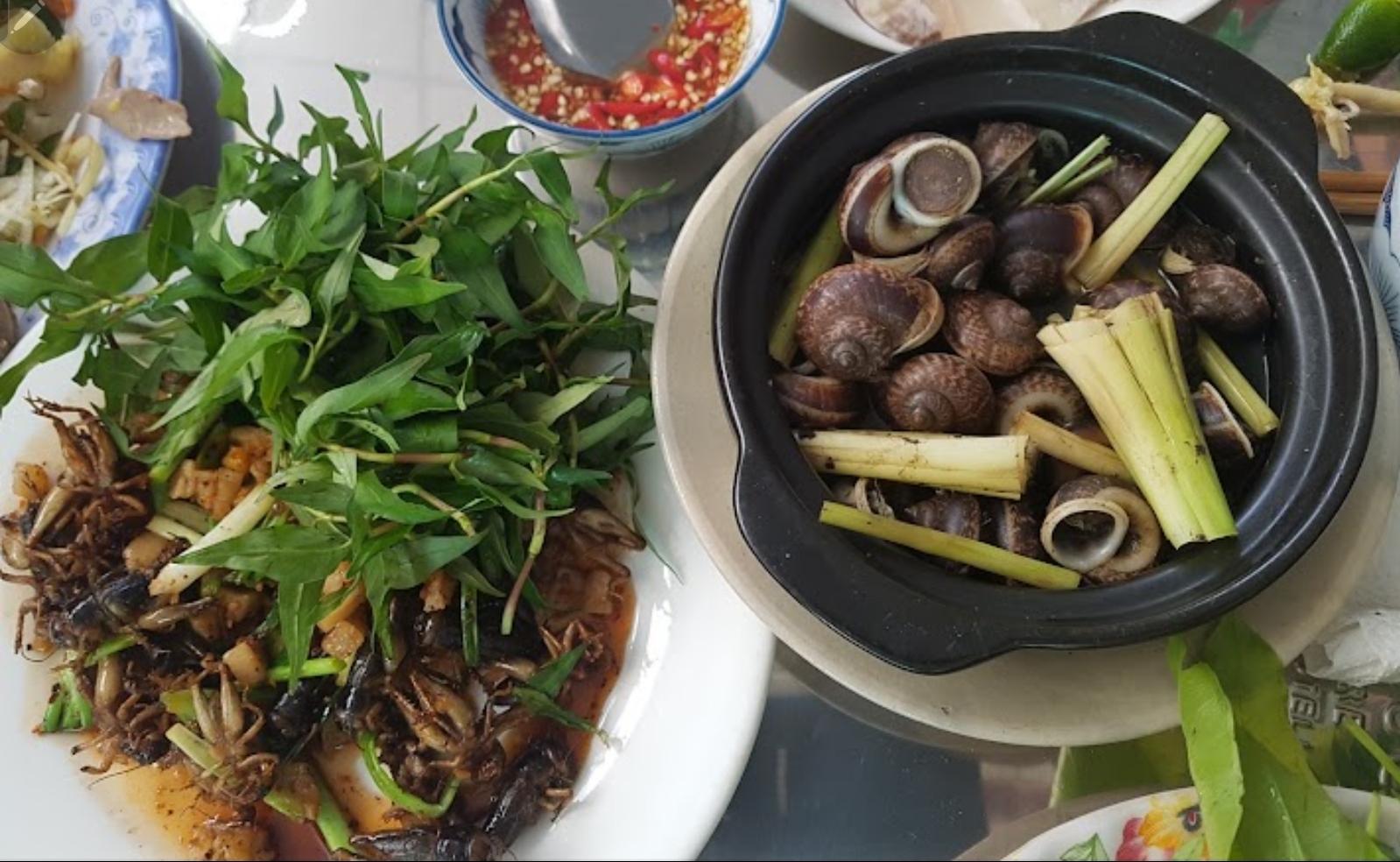 ỐC NÚI TÂY NINH- HƯƠNG VỊ ĐẬM CHẤT THÔN DÃ