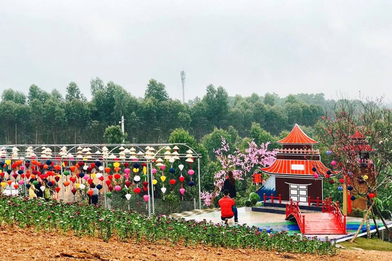 Quán gió Tam Đảo - Quán cafe trên mây tuyệt đẹp