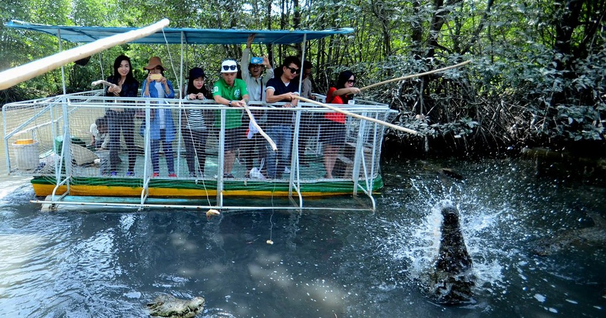 rừng ngập mặn cần giờ