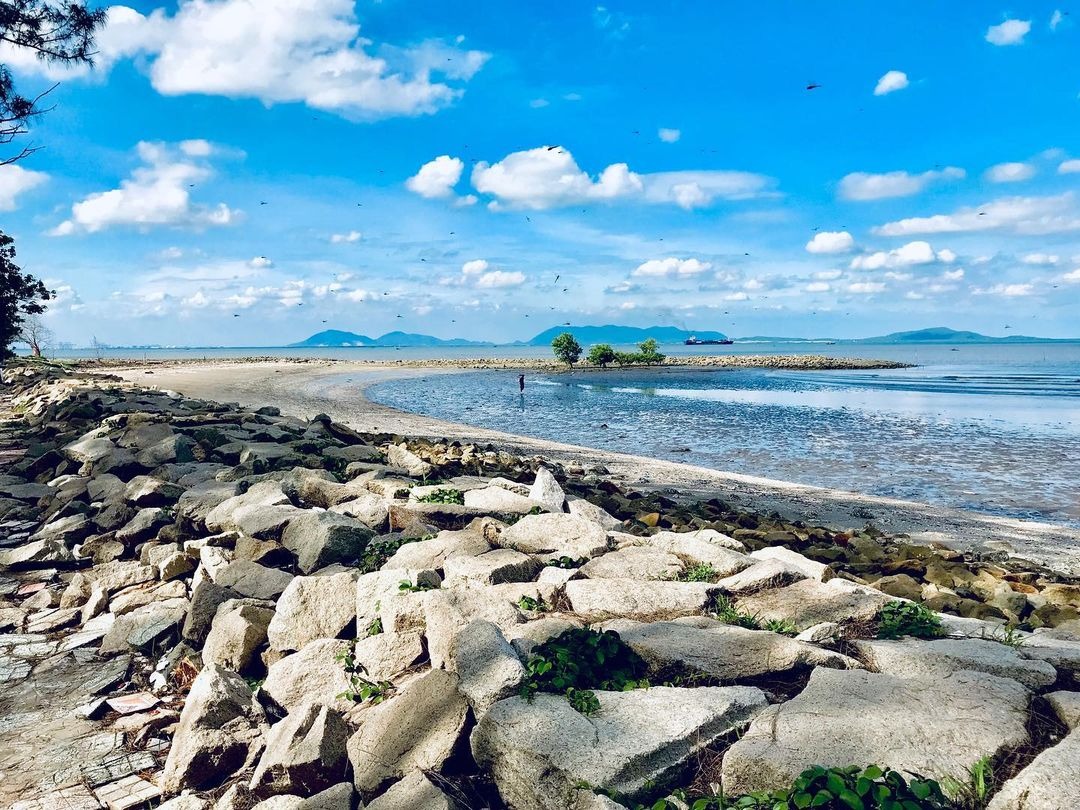 rừng ngập mặn cần giờ