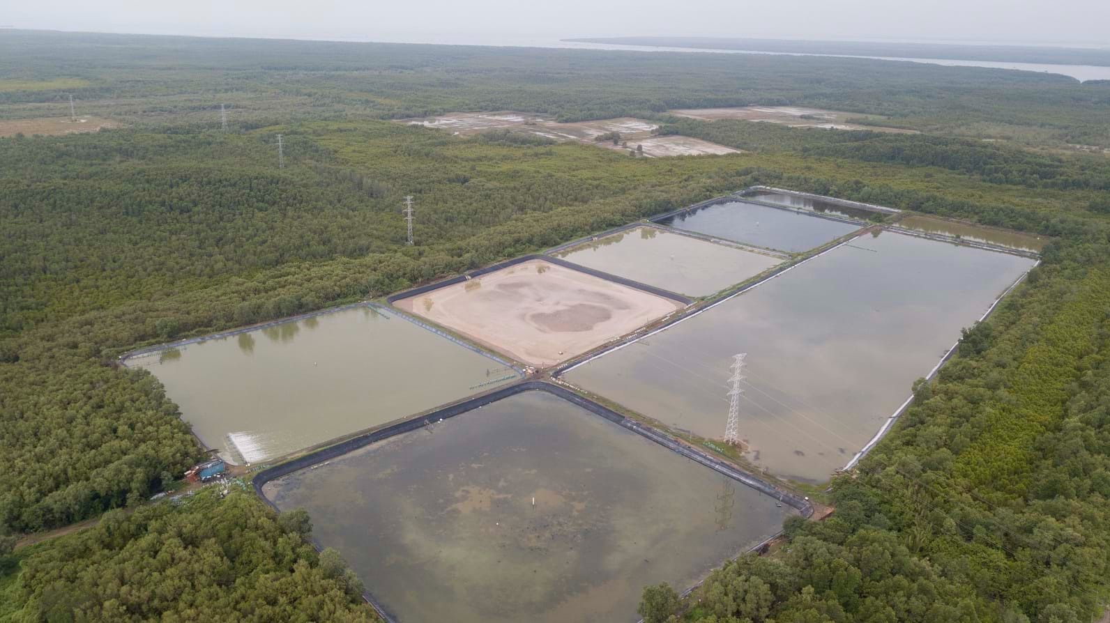 rừng ngập mặn cần giờ