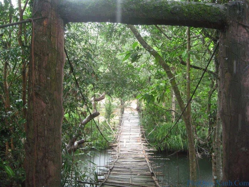 Review Suối Đá Bàn - Vẻ đẹp thiên nhiên Phú Quốc