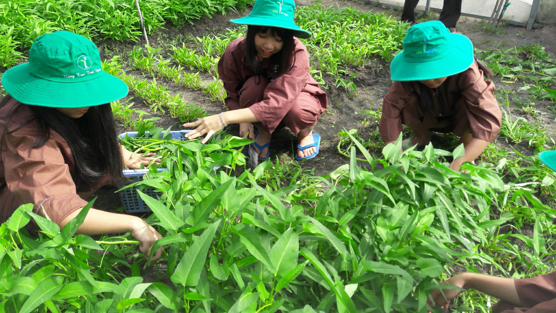 tây ninh có gì chơi