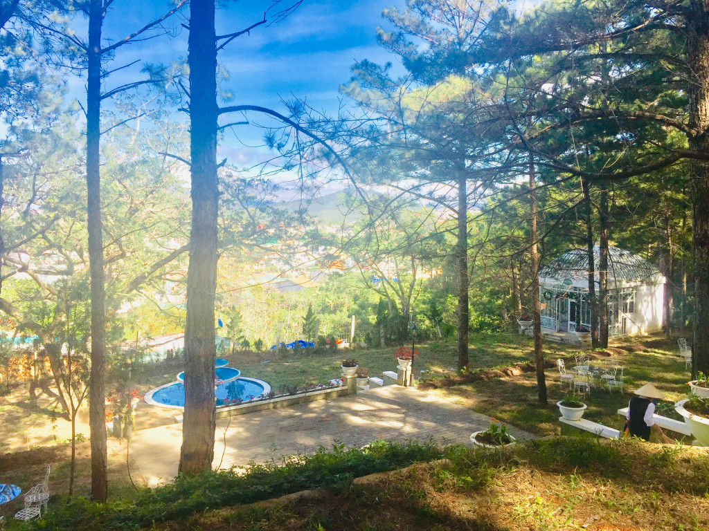 rừng thông Đà Lạt