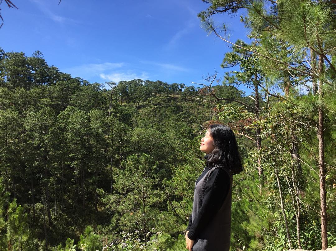 rừng thông Đà Lạt