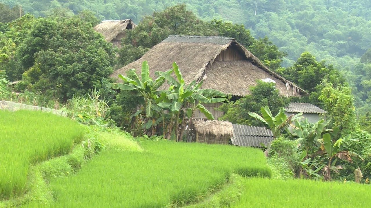 Thung Nai Hòa Bình - Kinh nghiệm du lịch từ A - Z