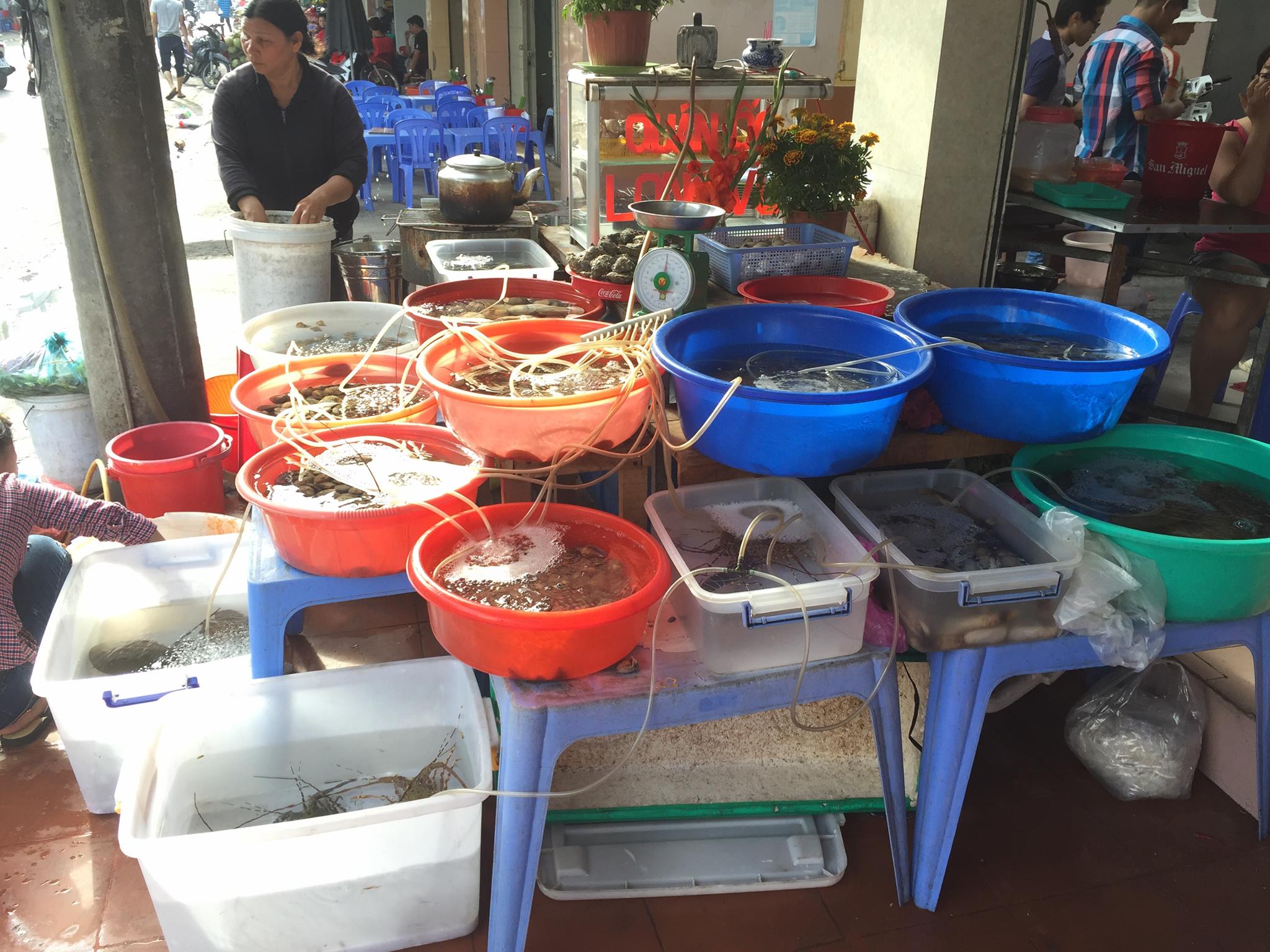 hải sản nha trang