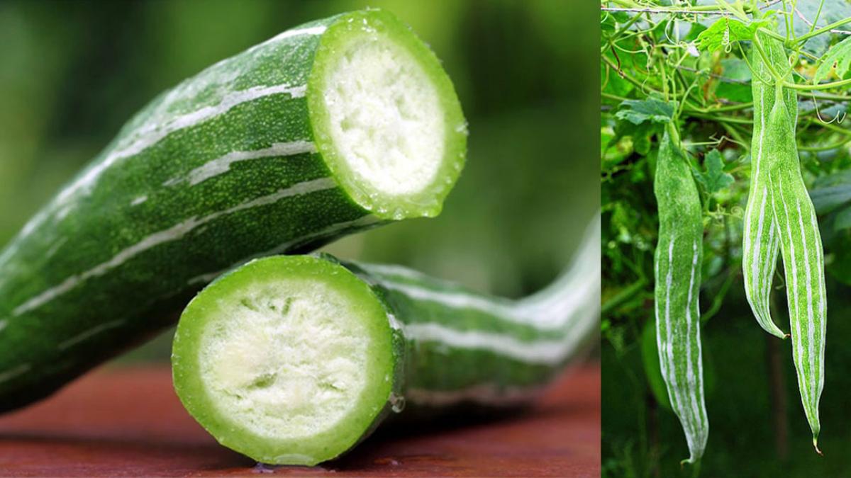 đặc sản Hòa Bình