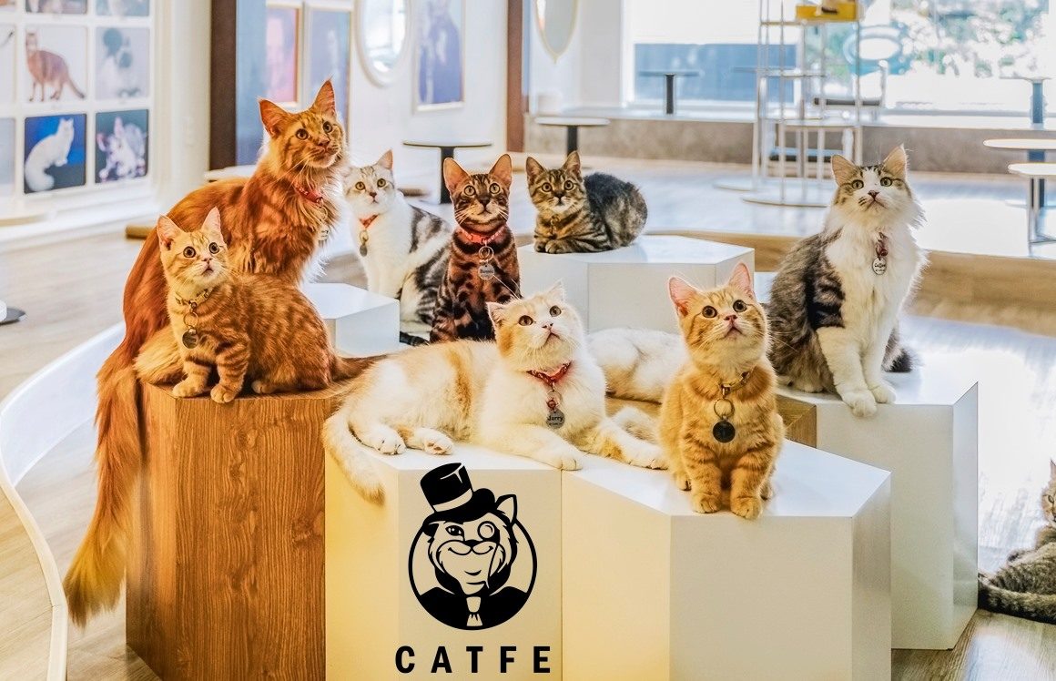 cà phê quận 1