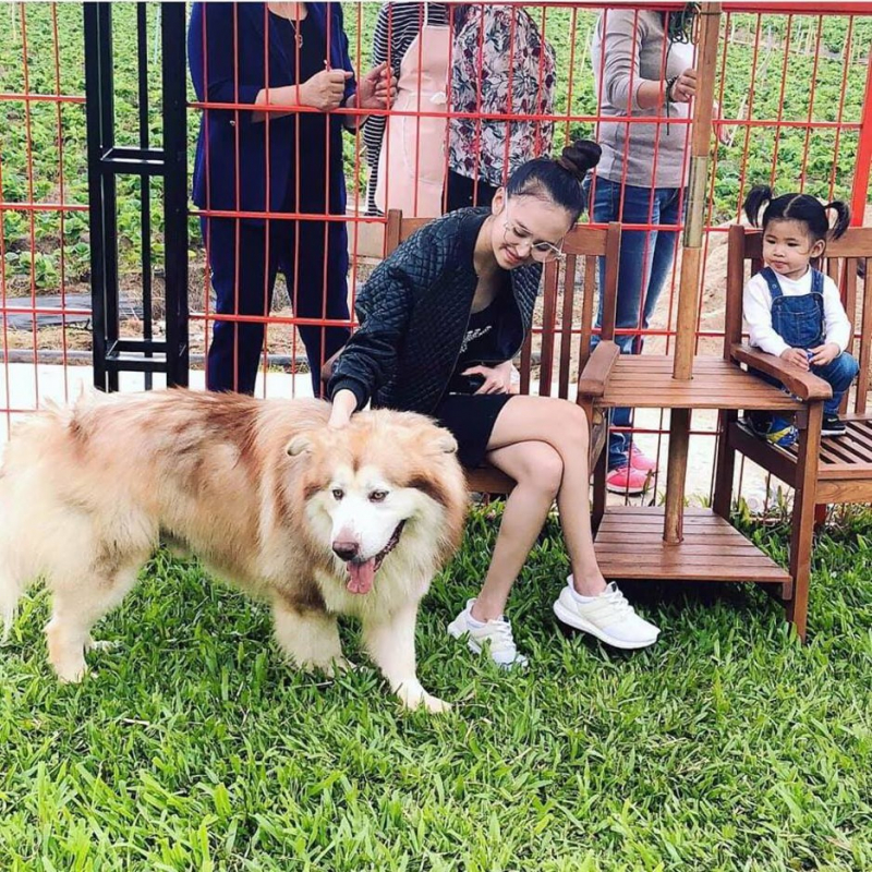 cafe chó đà lạt