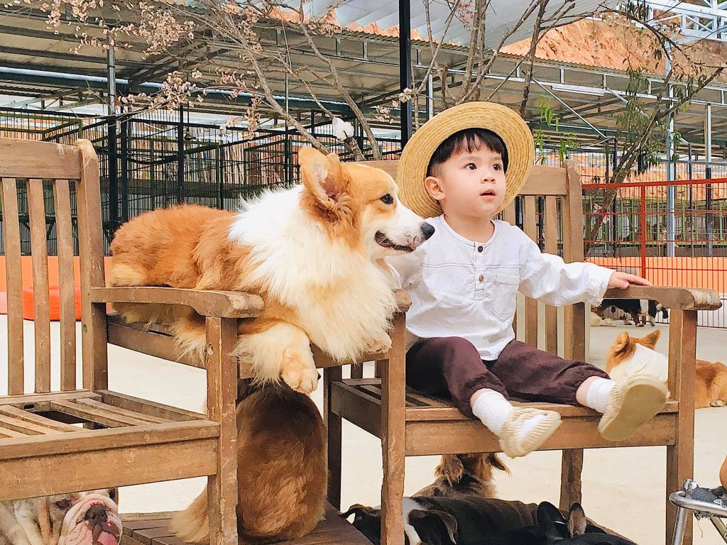 cafe chó đà lạt