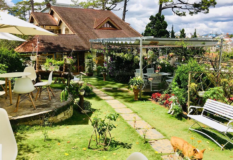 cafe chó đà lạt